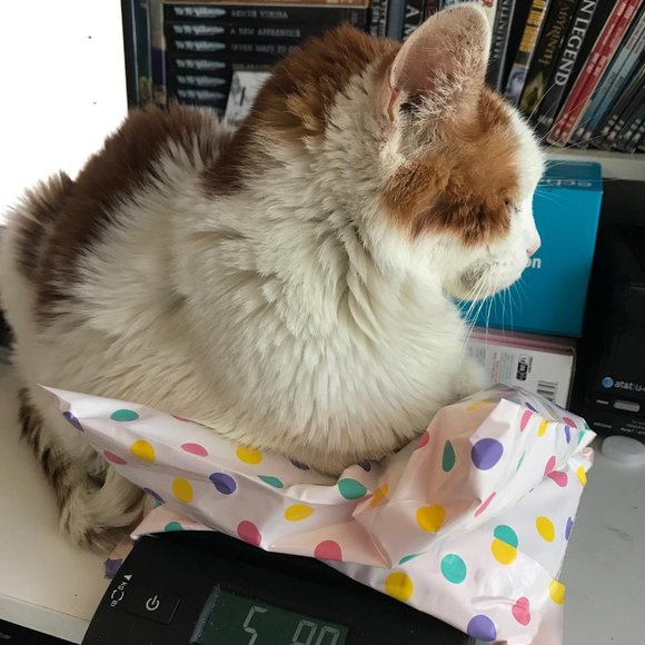 Meet your Posher, Lovelynn! - Picture 6 of 7